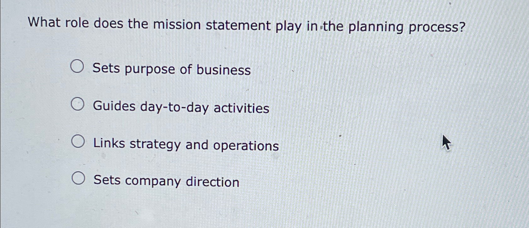  What role does the mission statement play in the planning process?