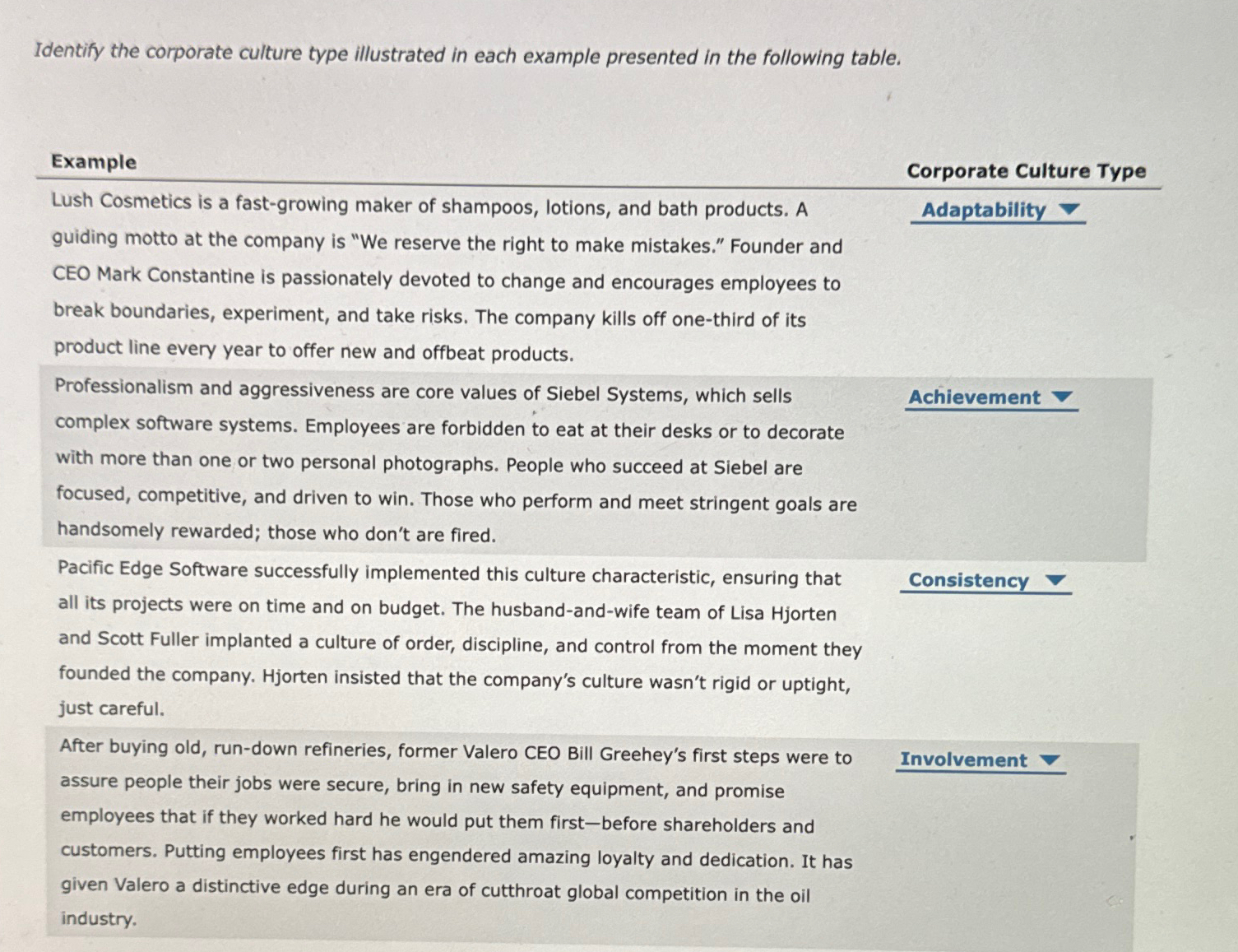  Identify the corporate culture type illustrated in each example presented in
