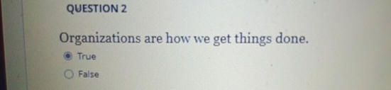  QUESTION 2 Organizations are how we get things done. True False