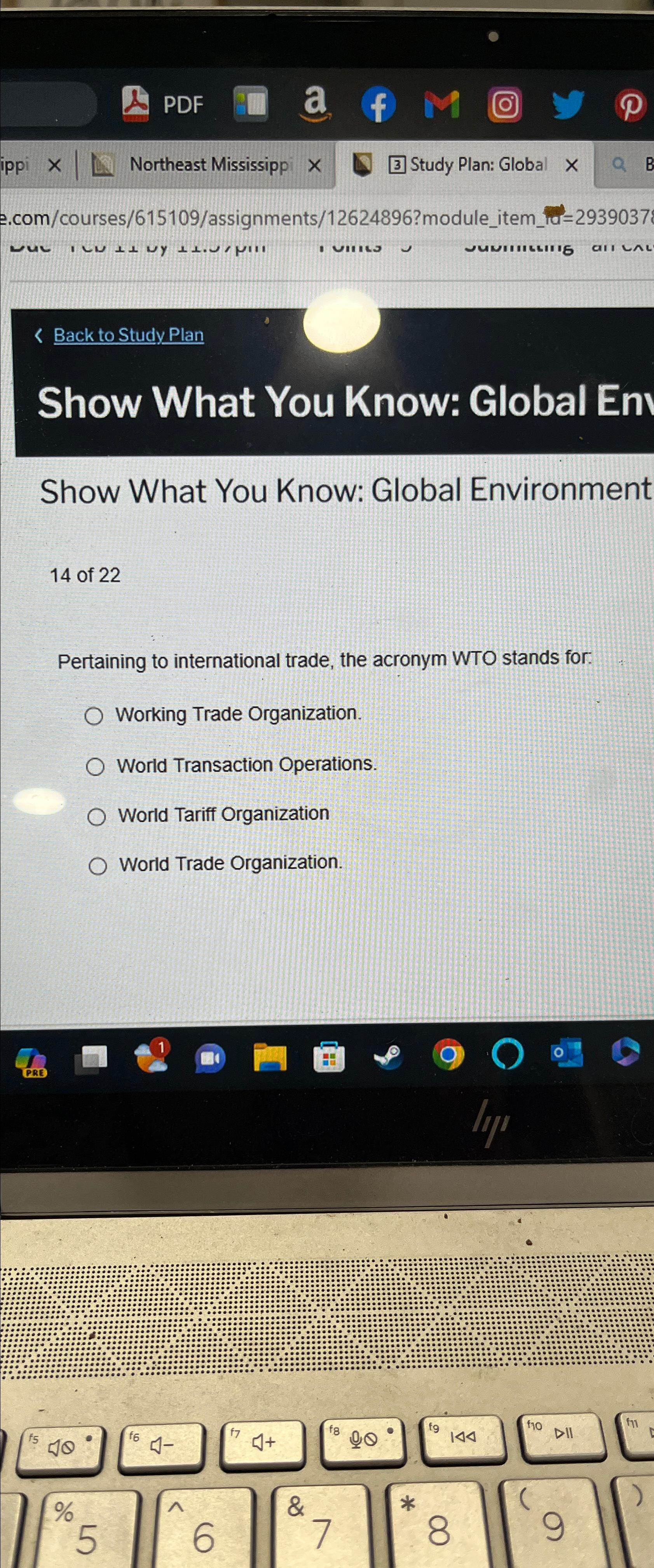  Back to Study Plan Show What You Know: Global En Show