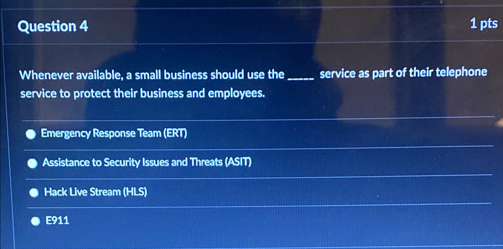  Question 4 1pts Whenever available, a small business should use the
