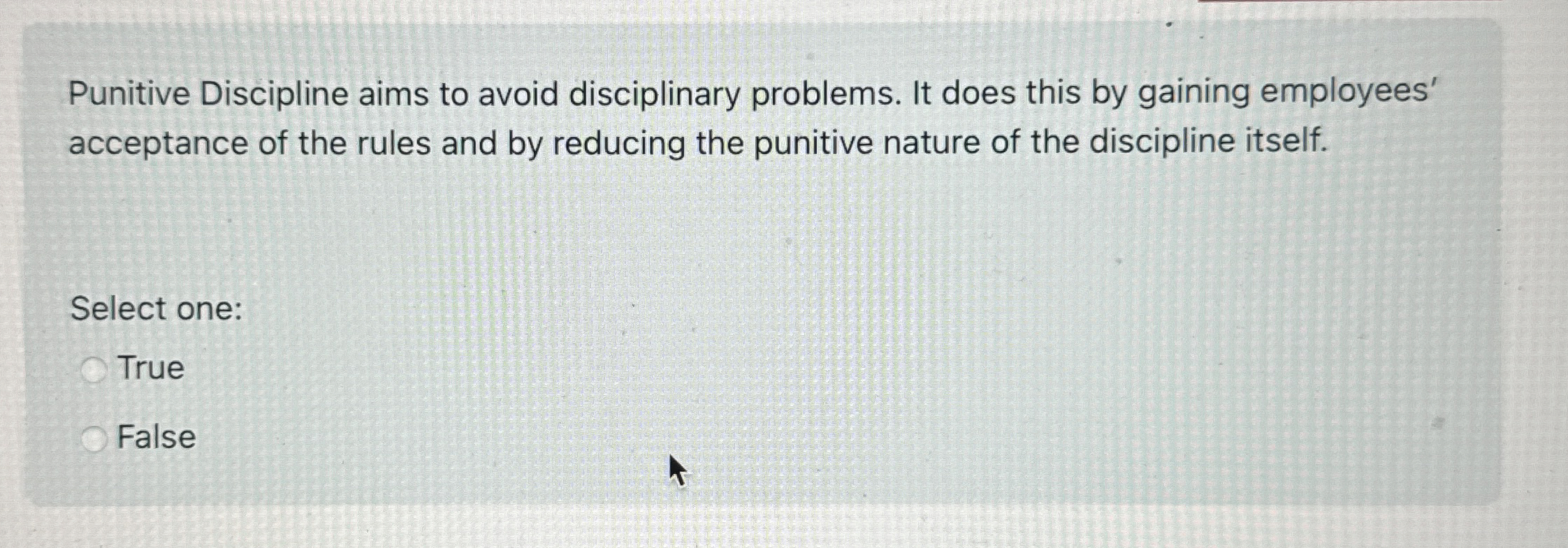  Punitive Discipline aims to avoid disciplinary problems. It does this by
