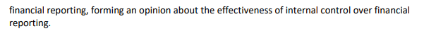errors on the external auditExplanation of possible errors from financial dataAUDIT STRATEGIES