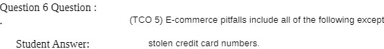Question 6 Question : (TCO 5) E-commerce pitfalls include all of