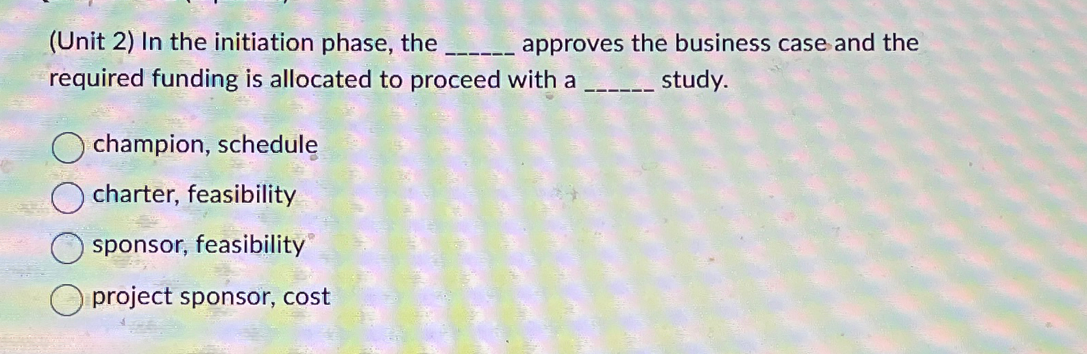  (Unit 2) In the initiation phase, the approves the business case