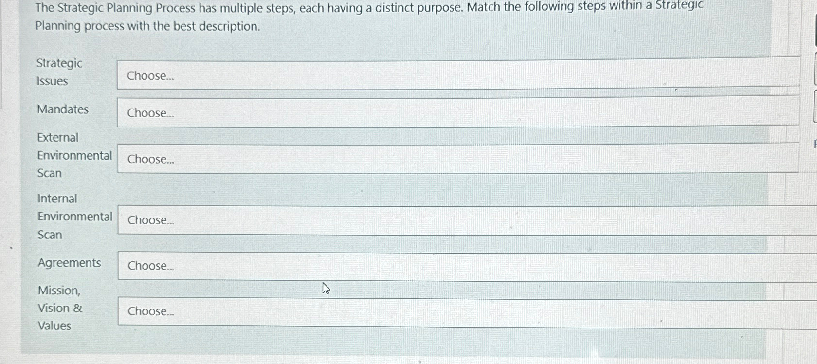  The Strategic Planning Process has multiple steps, each having a distinct