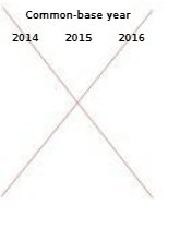  Common-base year 2014 2015 2016