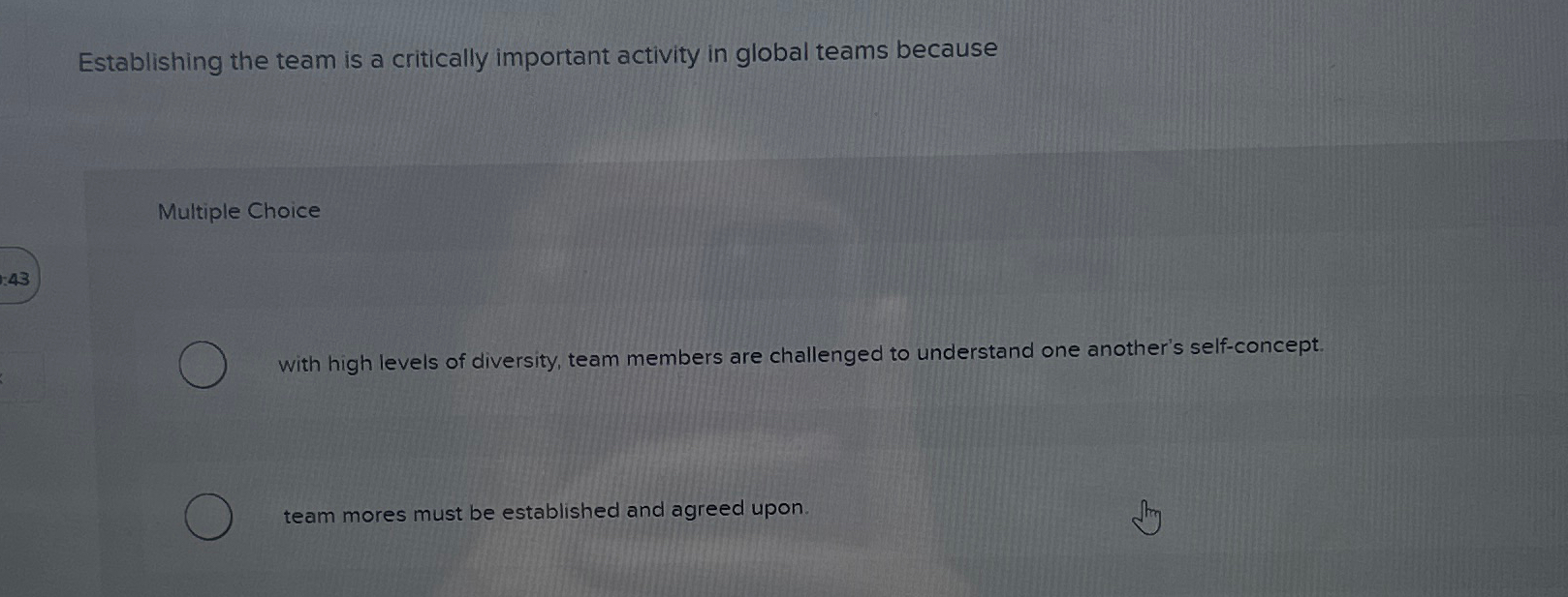  Establishing the team is a critically important activity in global teams