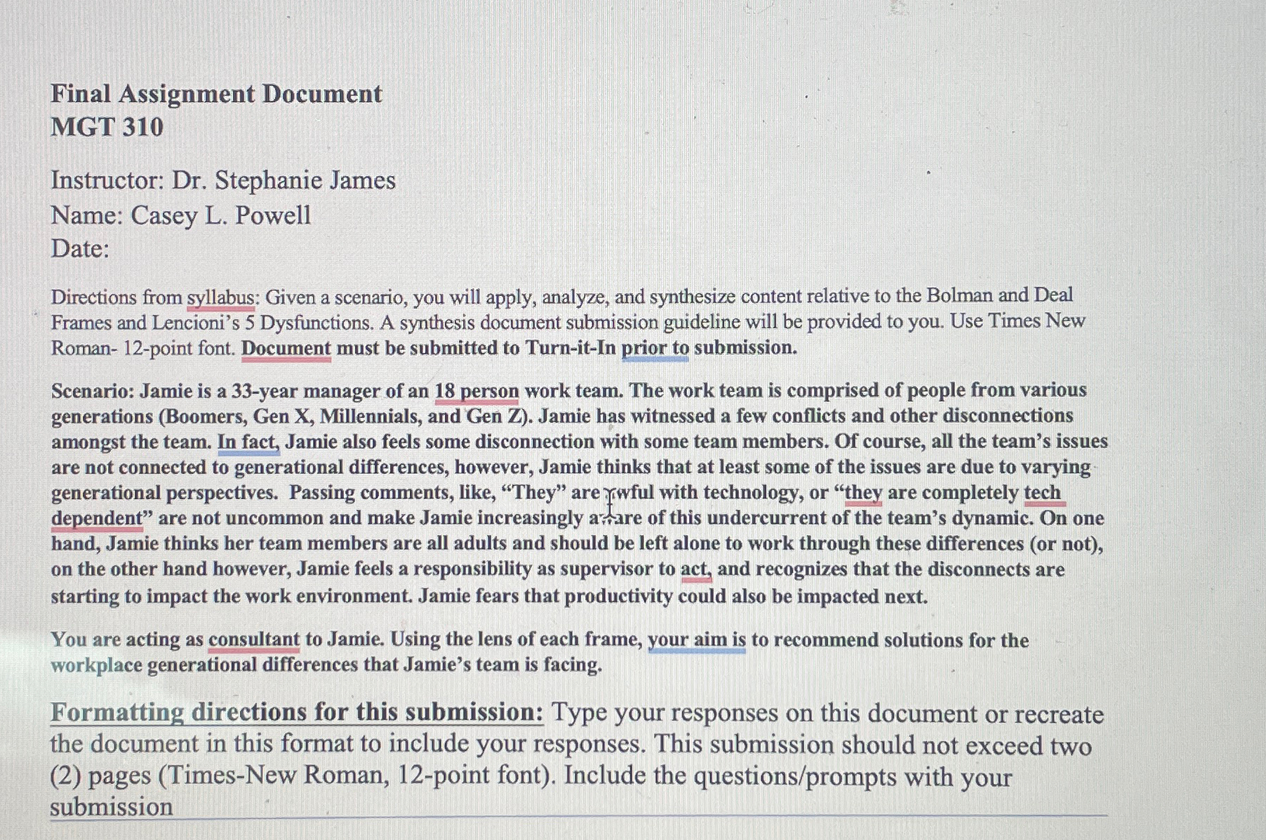  Final Assignment Document MGT 310 Instructor: Dr. Stephanie James Name: Casey