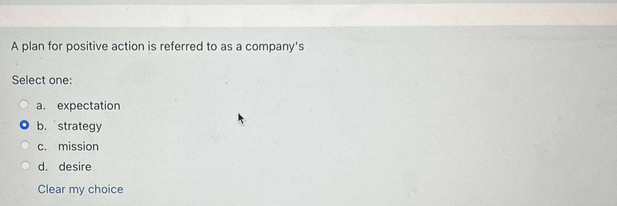  A plan for positive action is referred to as a company's
