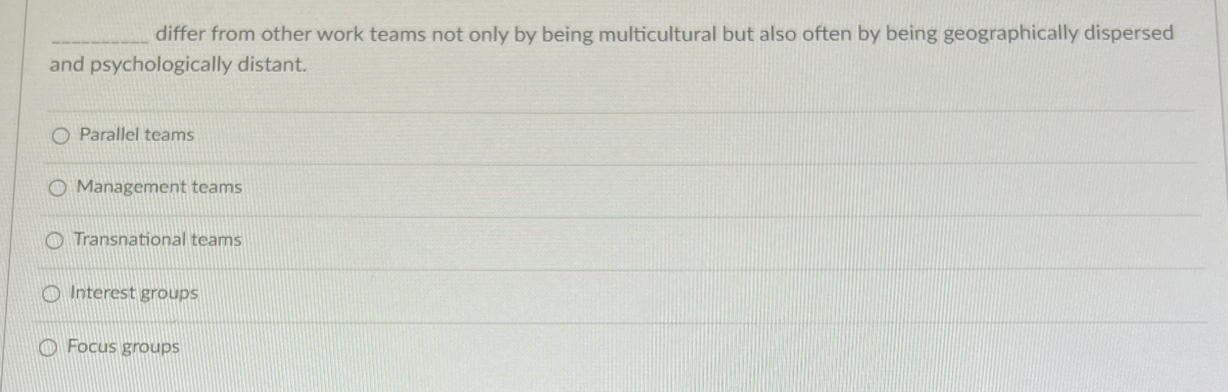  q, differ from other work teams not only by being multicultural