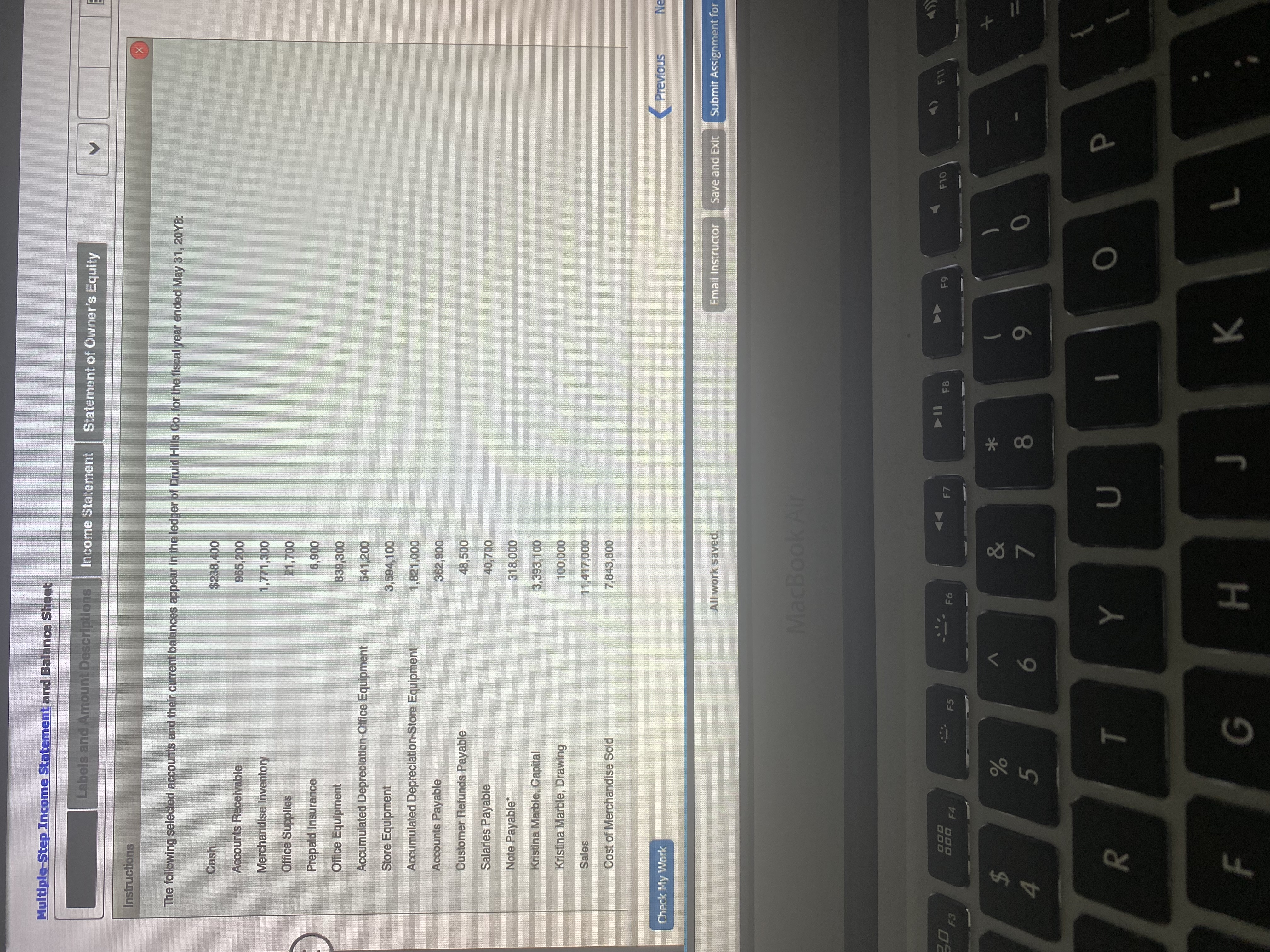  Multiple Step Income Statement and Balance Sheet abels and Amount Descriptions