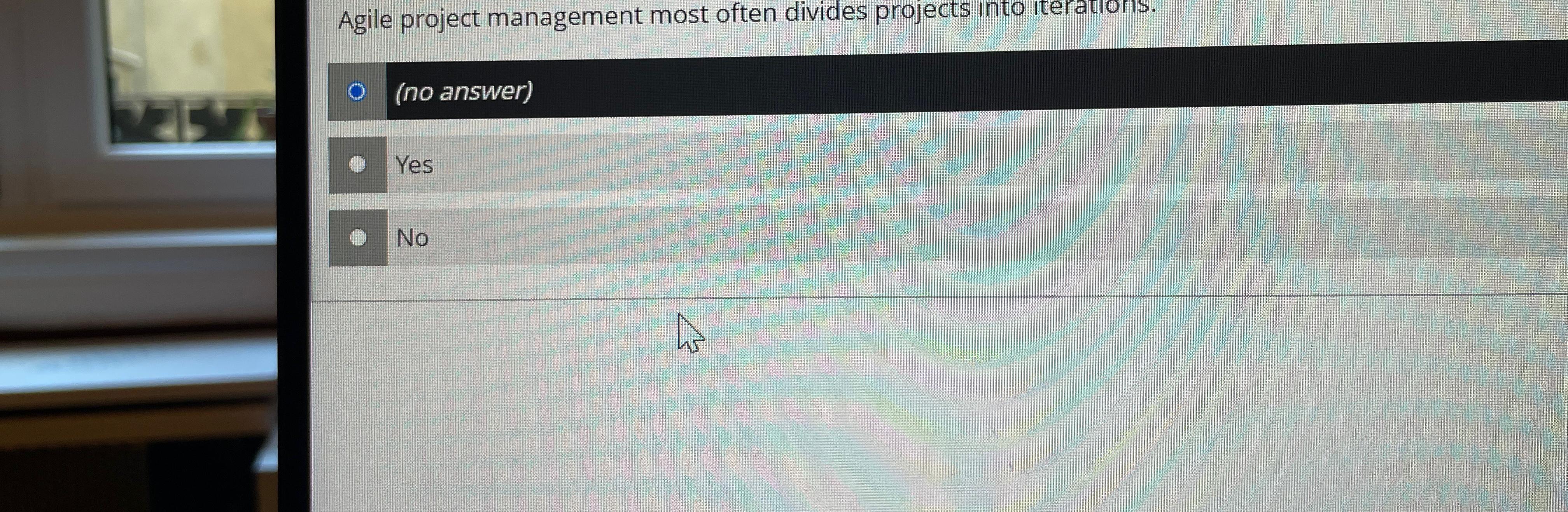  Agile project management most often divides projects into iterations. (no answer)