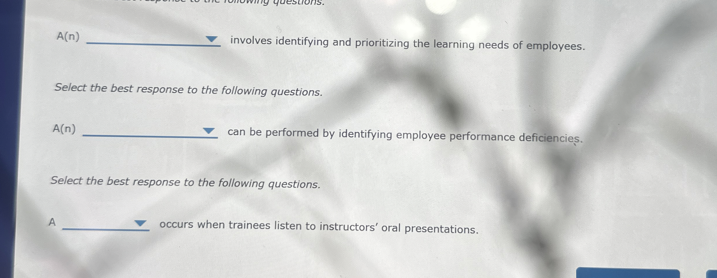  A(n) involves identifying and prioritizing the learning needs of employees. Select
