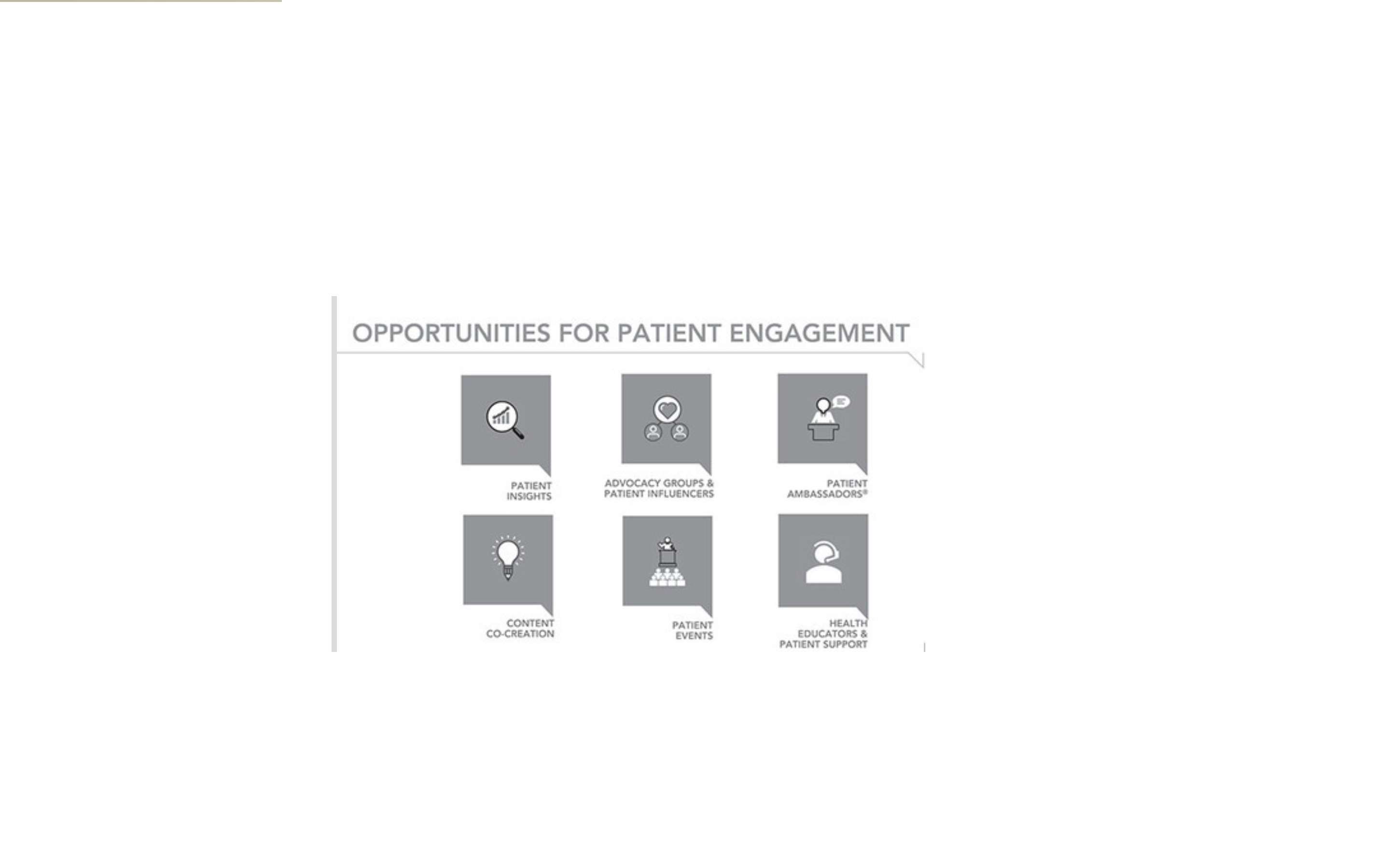 "Snow Companies" related to the questions posed at the end of the