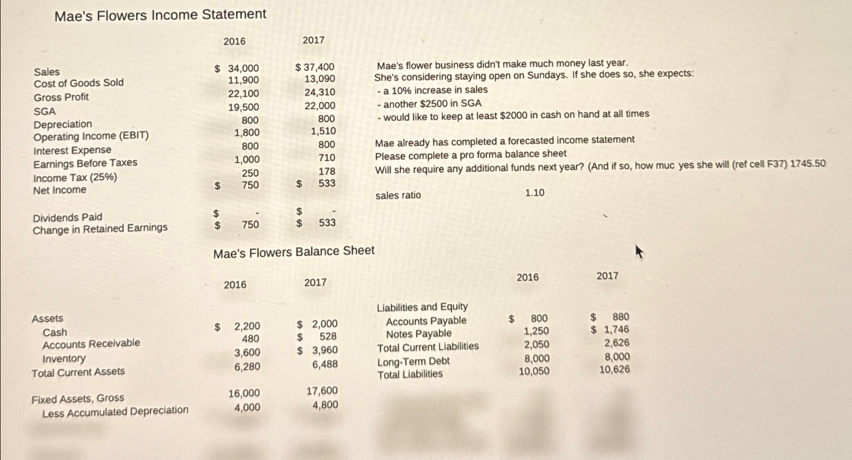  Mae's Flowers Income Statement 