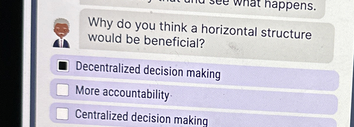  Why do you think a horizontal structure would be beneficial? Decentralized