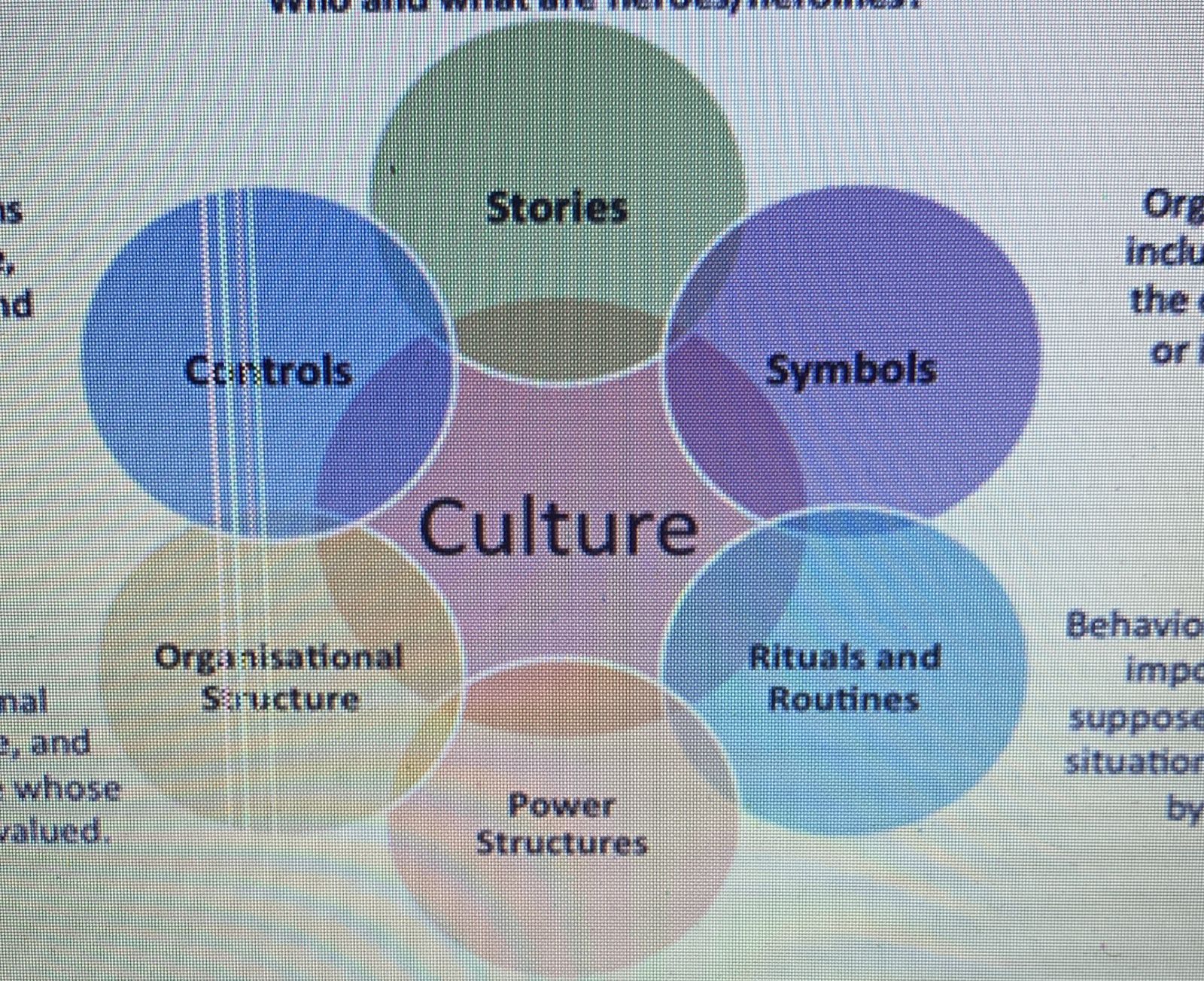 We made a company that basically specializes in making customised t-shirts for