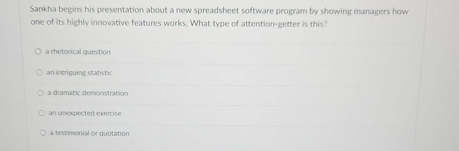  Sankha begins his presentation about a new spreadsheet software program by