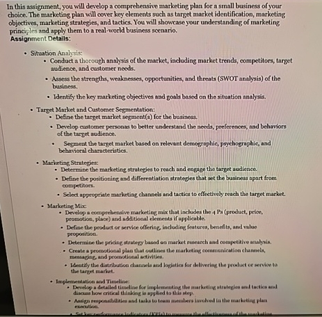  In this assignment, you will develop a comprehensive marketing plan for