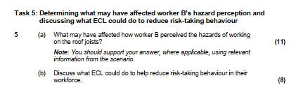  Task 5: Determining what may have affected worker B's hazard perception