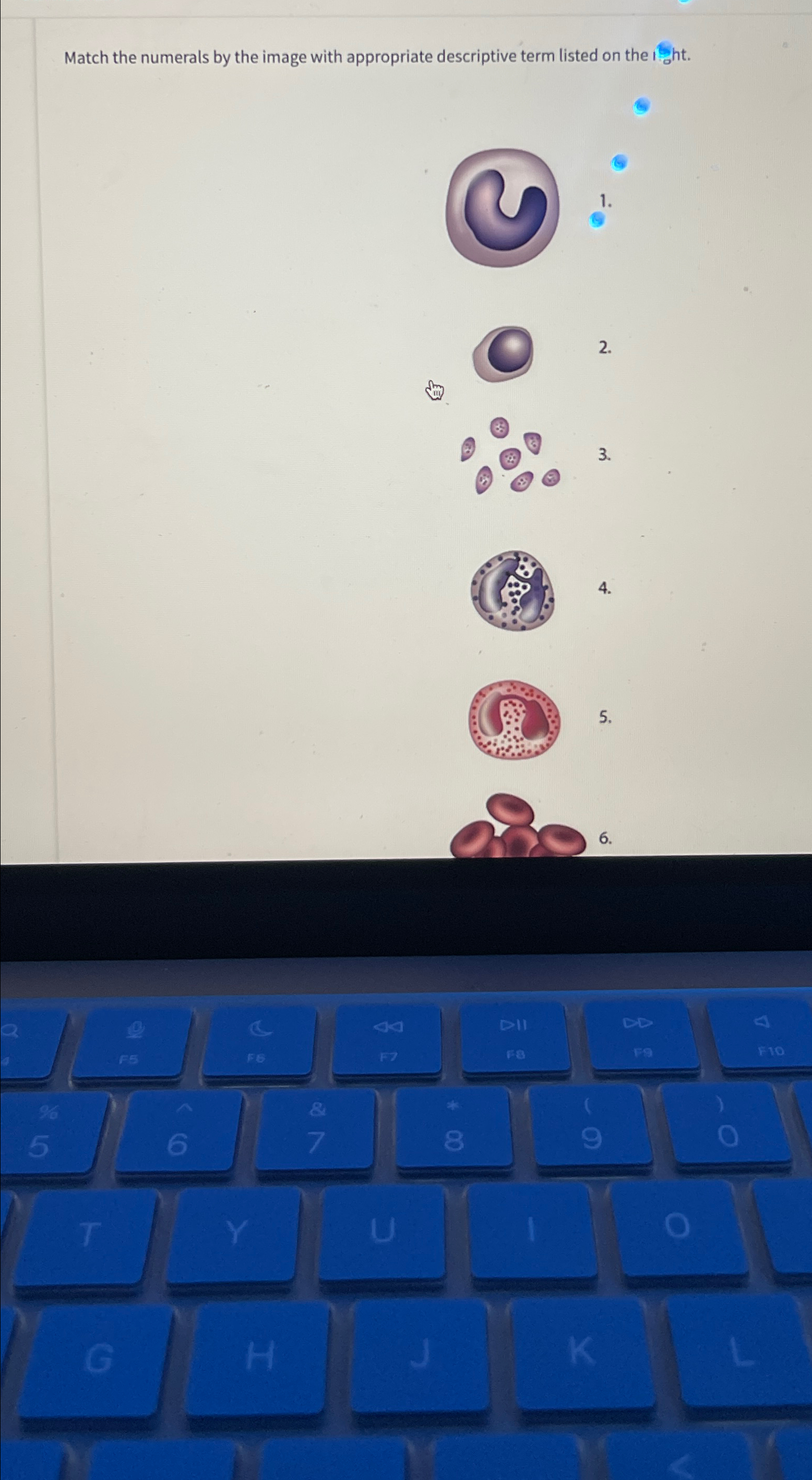  Match the numerals by the image with appropriate descriptive term listed