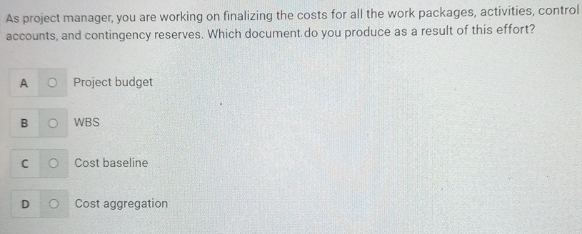  As project manager, you are working on finalizing the costs for