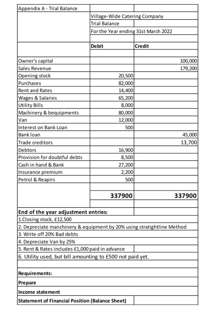 Make a basic income statement and a balance sheet for the Year