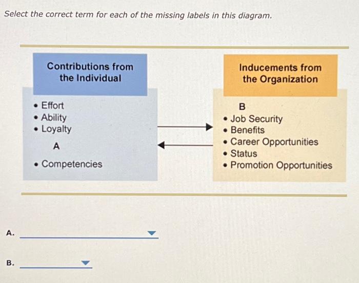  Select the correct term for each of the missing labels in