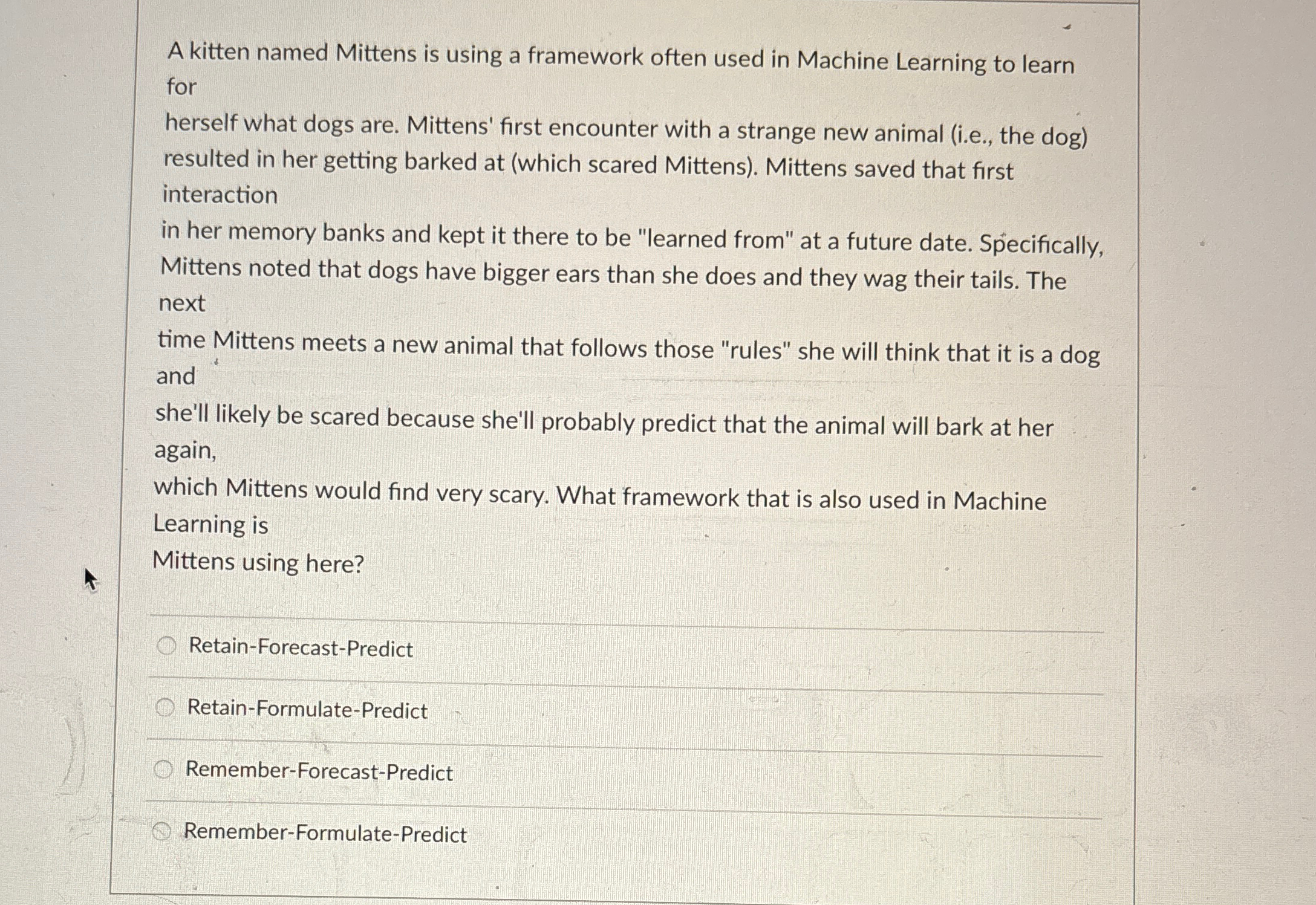  A kitten named Mittens is using a framework often used in