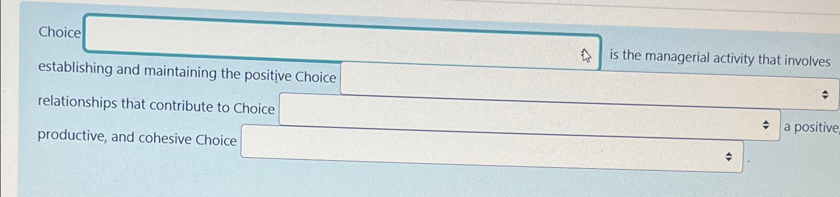  Choice is the managerial activity that involves establishing and maintaining the