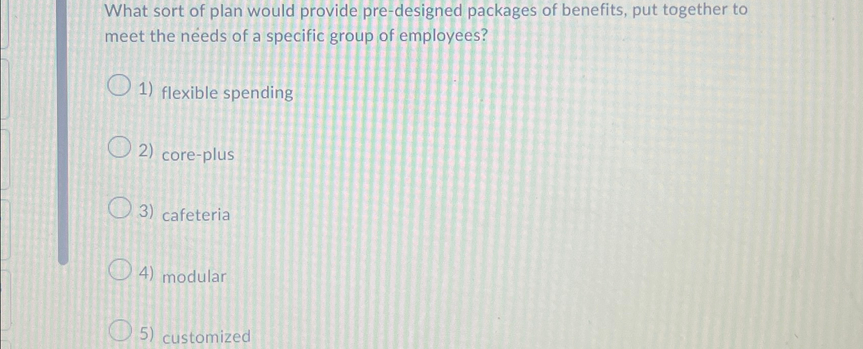  What sort of plan would provide pre-designed packages of benefits, put