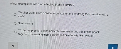  Which example below is an effective brand promise? 'To offer world
