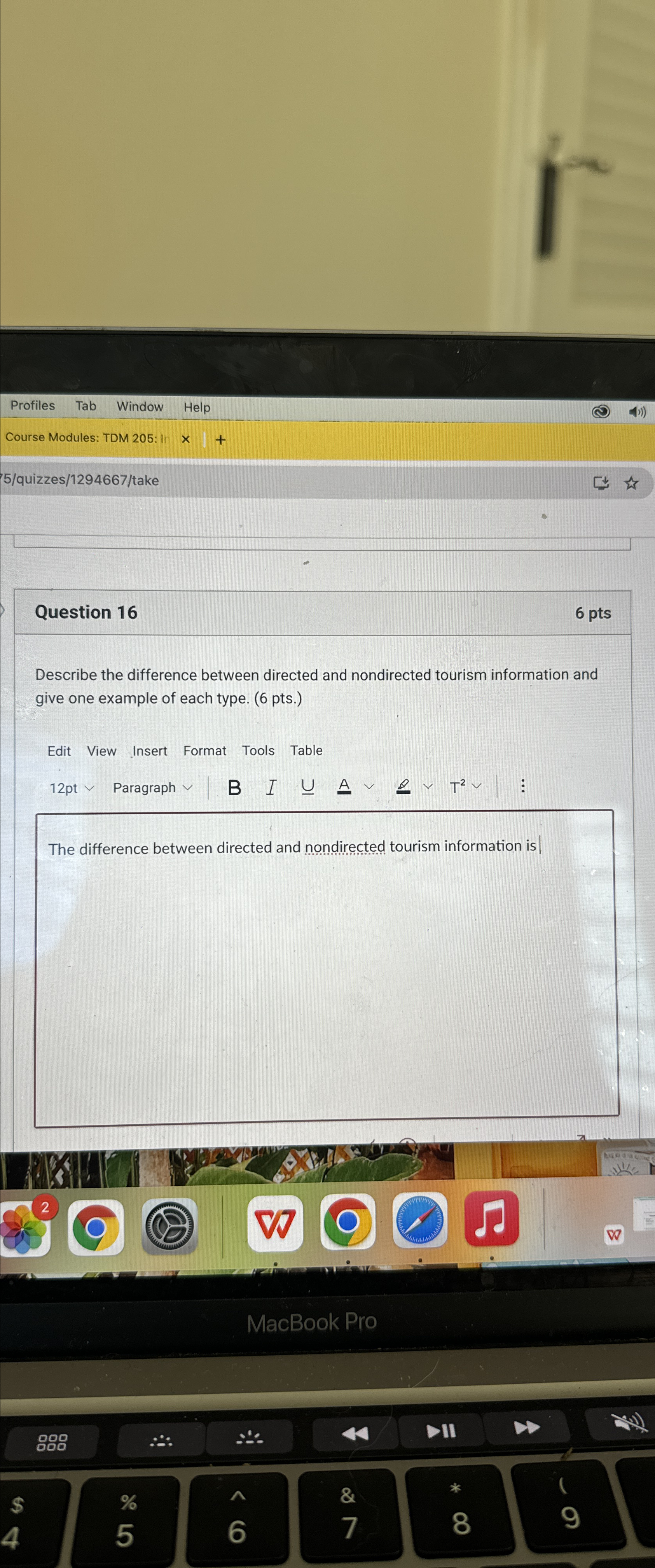 Question 16 6pts Describe the difference between directed and nondirected tourism