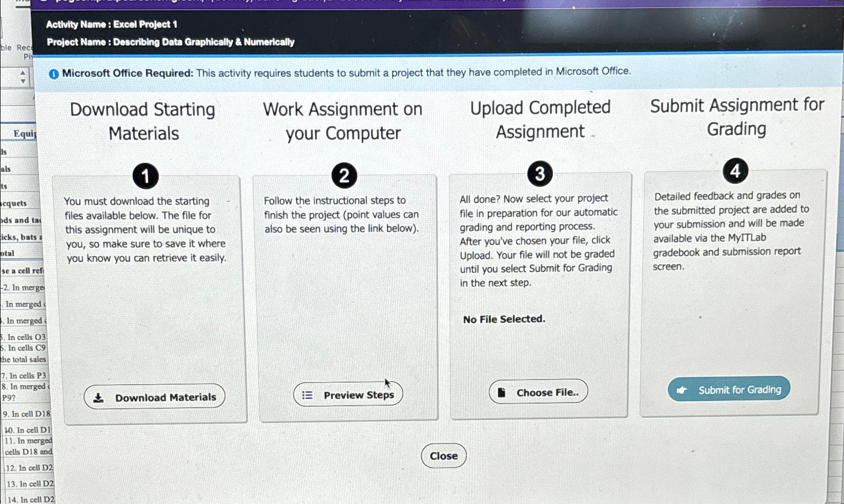  Acthily Name : Excel Project 1 Project Name : Describing Data
