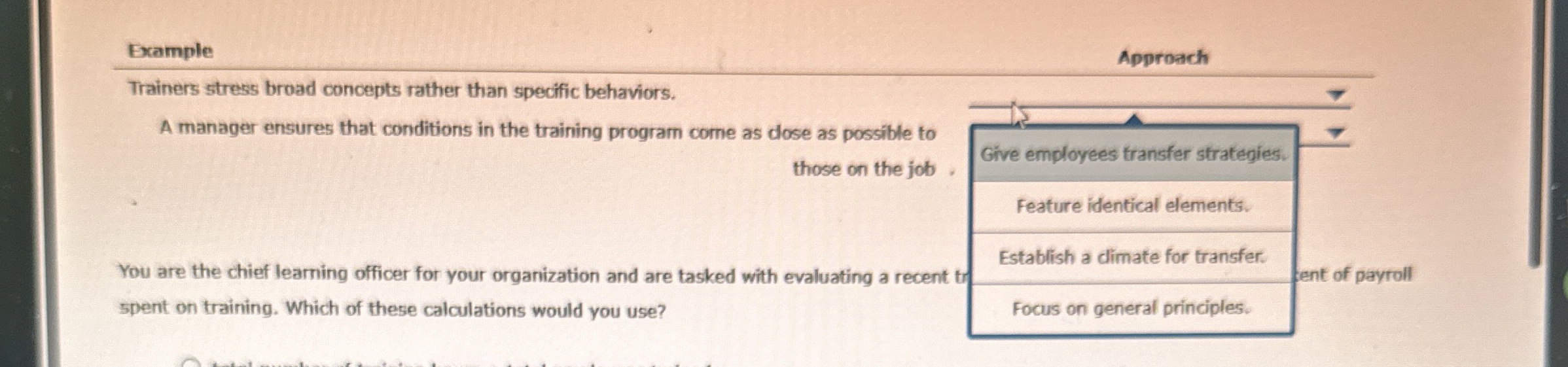  Example Approach Trainers stress broad concepts rather than specific behaviors. A