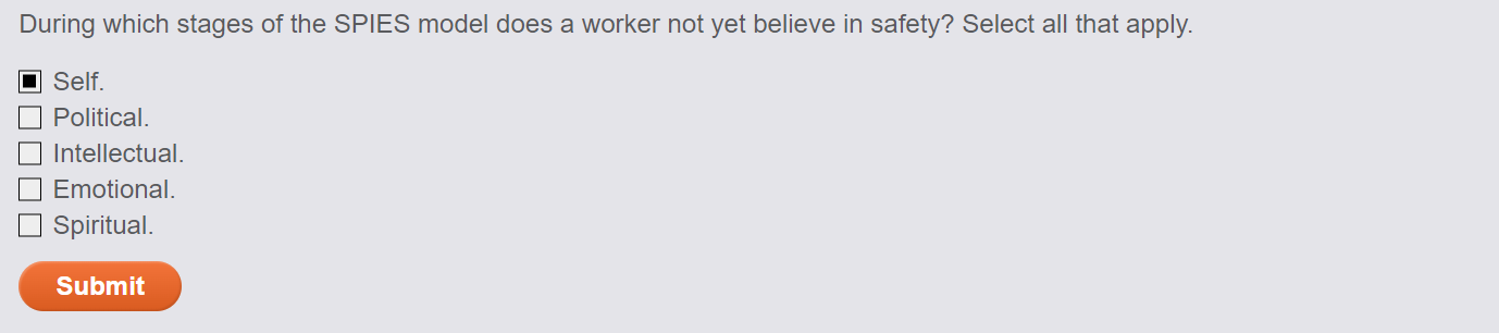  During which stages of the SPIES model does a worker not