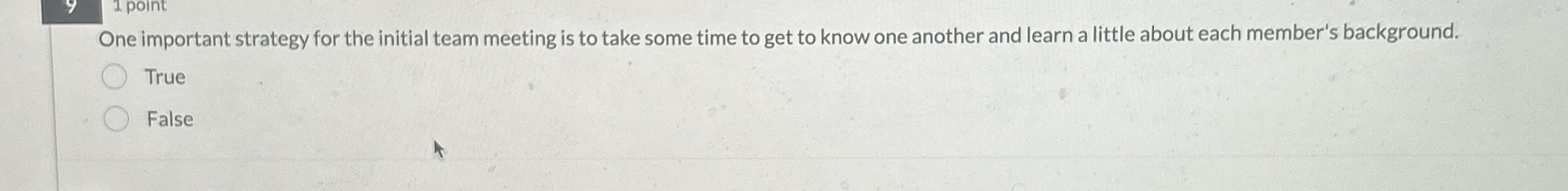  One important strategy for the initial team meeting is to take
