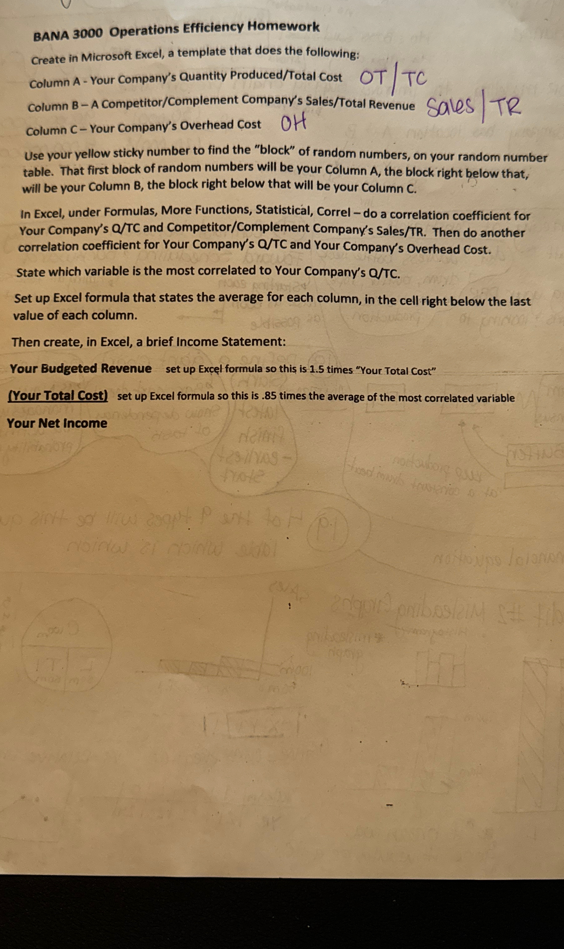  BANA 3000 Operations Efficiency Homework Create in Microsoft Excel, a template