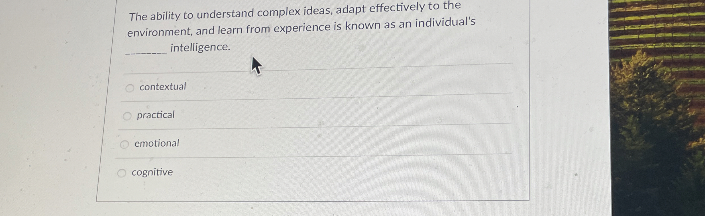  The ability to understand complex ideas, adapt effectively to the environment,