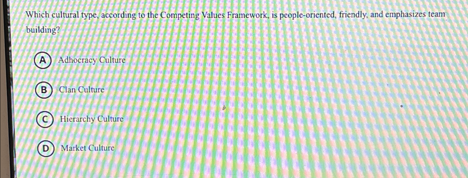  Which cultural type, according to the Competing Values Framework, is people-oriented,