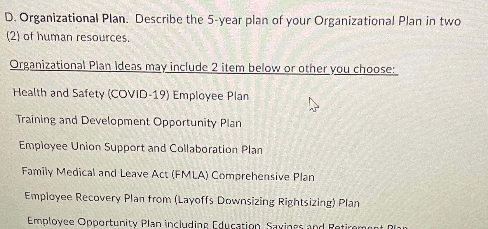  D. Organizational Plan. Describe the 5-year plan of your Organizational Plan