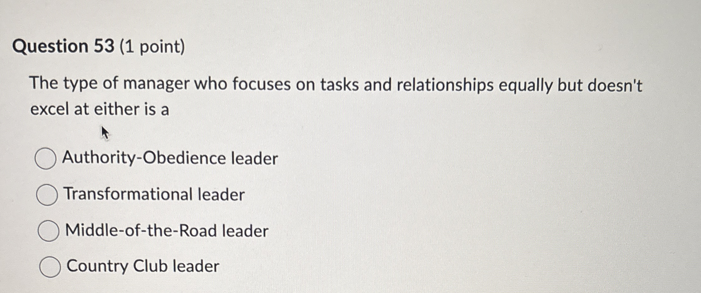  Question 53(1 point) The type of manager who focuses on tasks