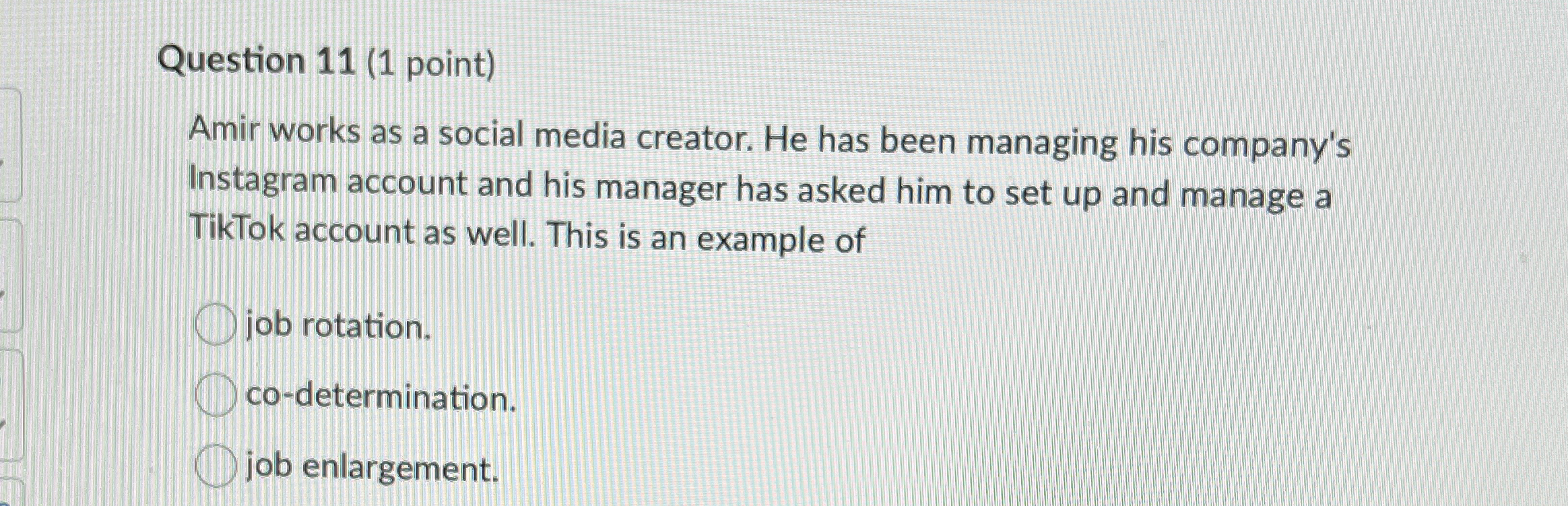  Question 11(1 point) Amir works as a social media creator. He