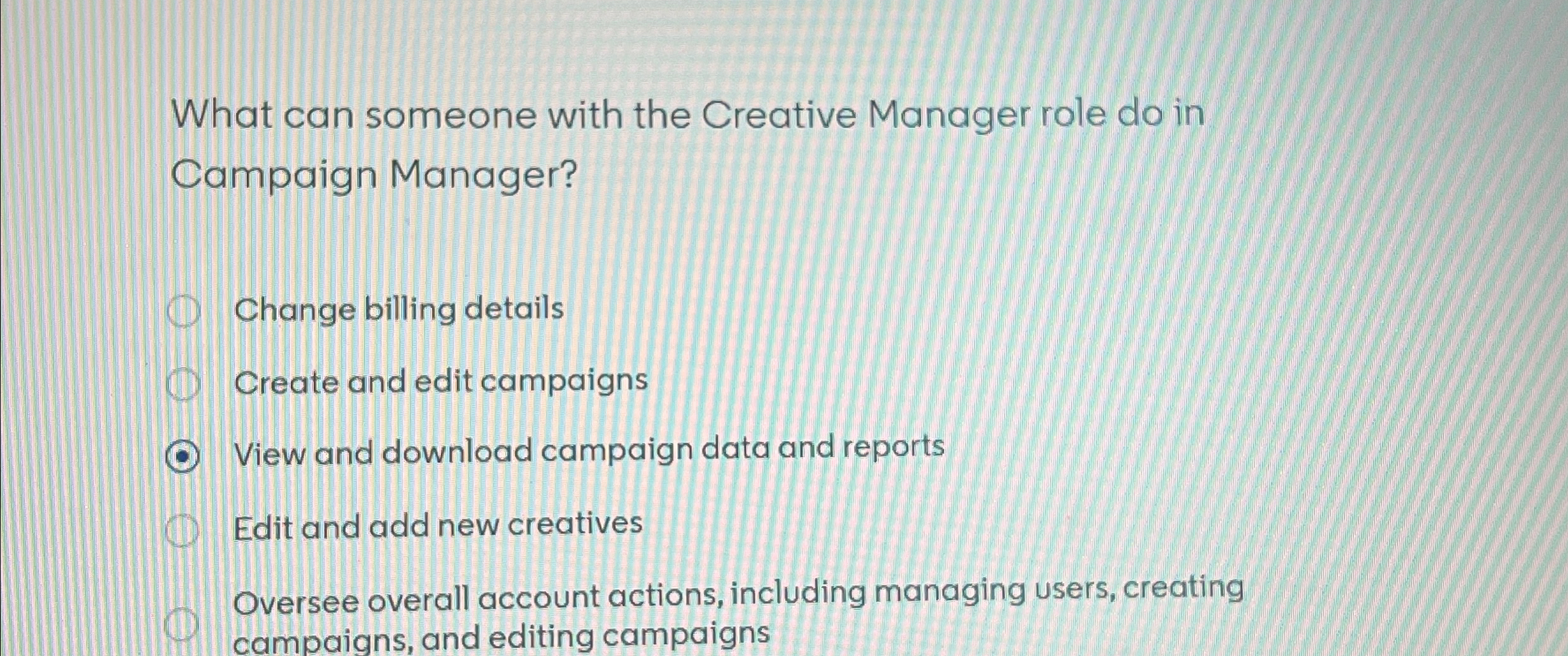  What can someone with the Creative Manager role do in Campaign