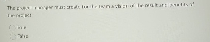  The project manager must create for the team a vision of