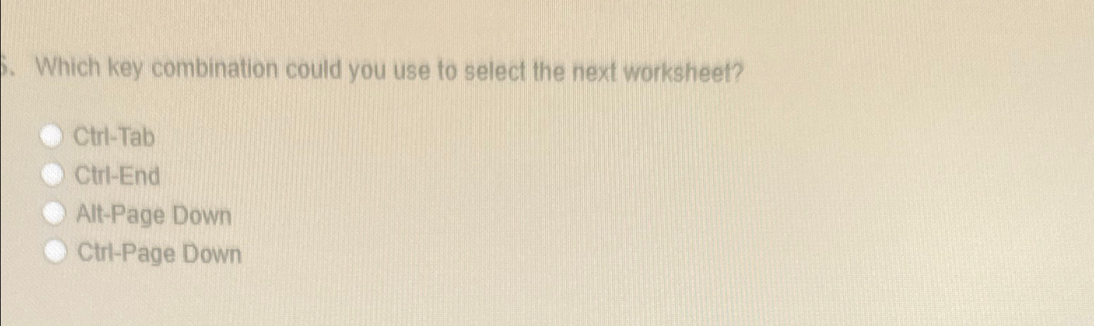  Which key combination could you use to select the next worksheet?