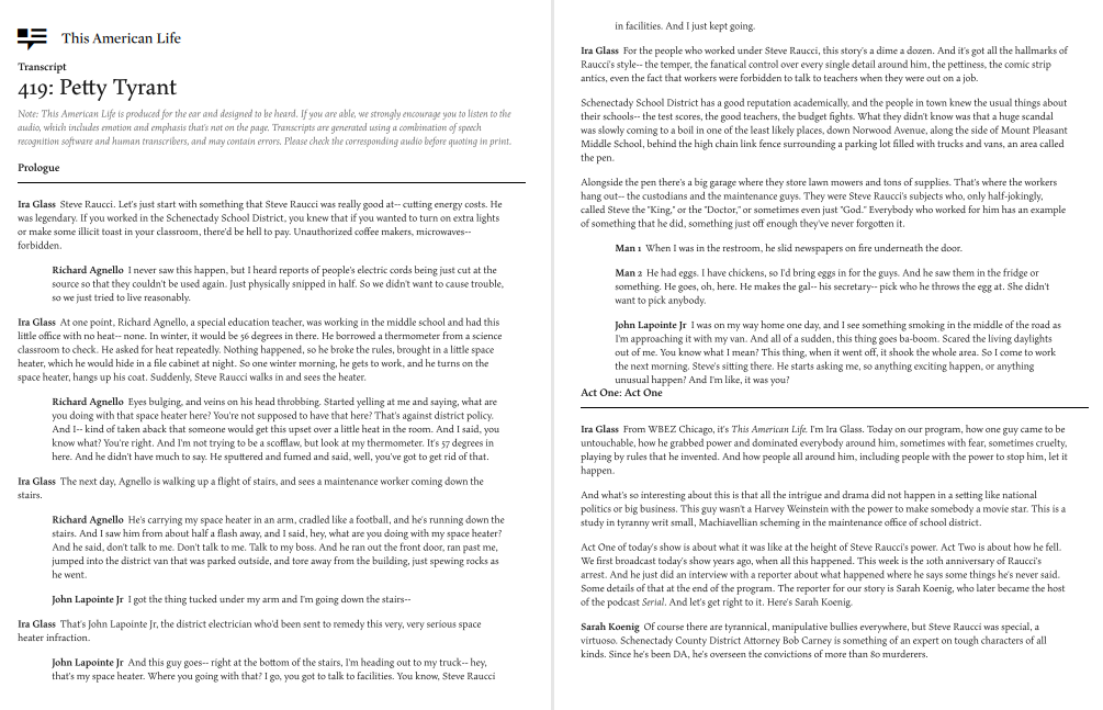 Steve Raucci Please Read Please Summarize and use theses in summary. How