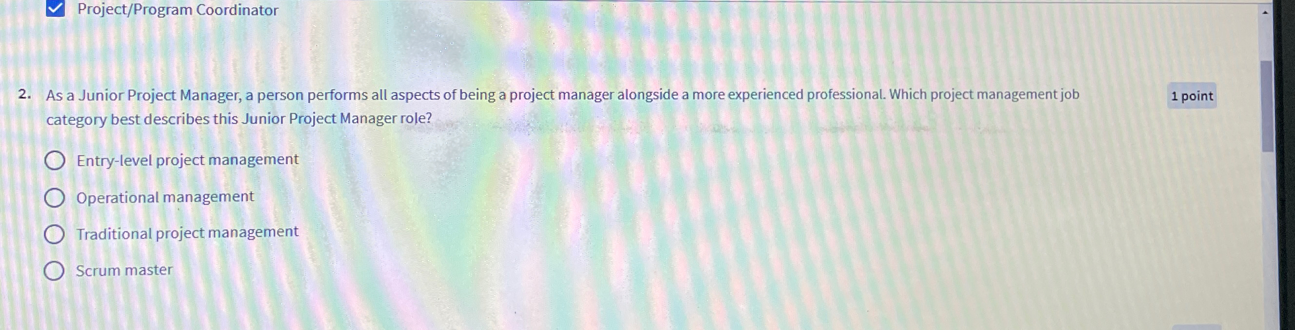  Project/Program Coordinator 2. As a Junior Project Manager, a person performs