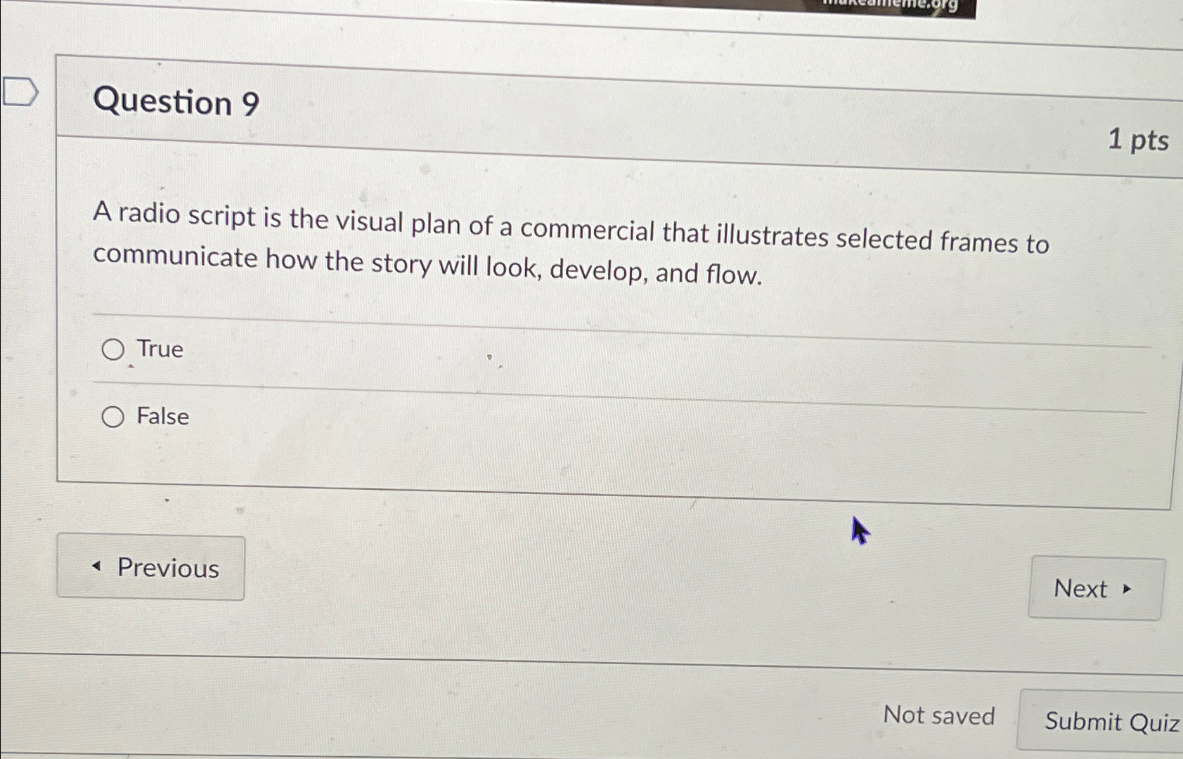  Question 9 1pts A radio script is the visual plan of